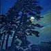 Kawase Hasui （巴水）- 1883-1957是一位多产并很有影响的艺术家。巴水生活在日本明治维新后的日本，由于西风东进日本传统版画“浮世绘”濒临灭绝，当时日本的一些艺术家和出版商却没有处于失语的状态，能够接受欧美的艺术观念，在继承日本传统版画基础上，创造了一个划时代的艺术运动“创意版画”。