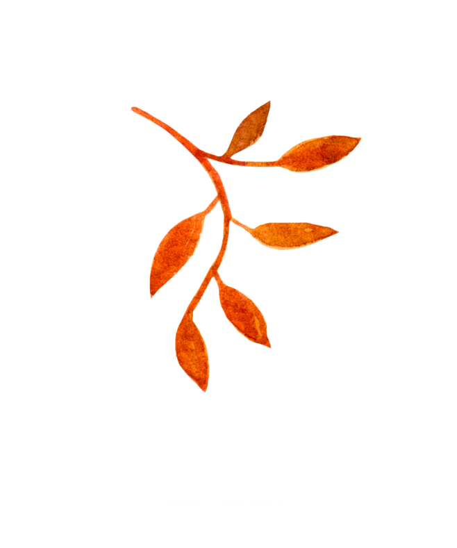 秋季元素 叶子 枝干 秋季花环 无缝图案...