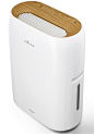 Air purifier with tree-derived phytoncides to infuse indoor air with forest fresh feel.