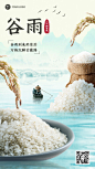 24节气套系谷雨节气祝福大米食品实景微缩手机海报