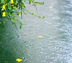 我爱春雨