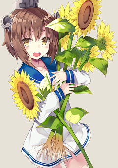Sheeta希达采集到素材(花)