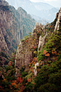 Autumn Leaves, China