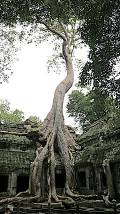 妏ふ采集到旅行