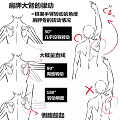 鳫弋采集到鸡肉粒粒