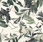 vintage wallpaper olive & lemon branch removable | Etsy