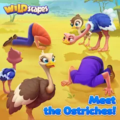 6773970226825396225-78657360_493092581304389_1389938948419092480_n