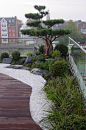 japanischer Garten auf Dachterrasse, traumhaftes Wohnen im Penthouse mit Japangarten: