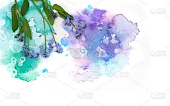 蓝色温柔的勿忘我花和手绘水彩斑点在白色背景上。A4纸大小的边框照片，可自由复印文本。用于卡片、请柬或
