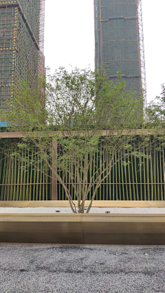 fiHBdqIT采集到植物品种