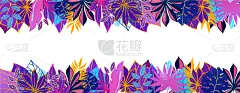 鸡尾酒,叶子,热带气候,紫外线辐射,暗色,纺织品,光亮,壁纸,植物群