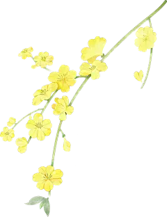 绿色黄色植物插画水墨节气立春彩色水彩花朵图片