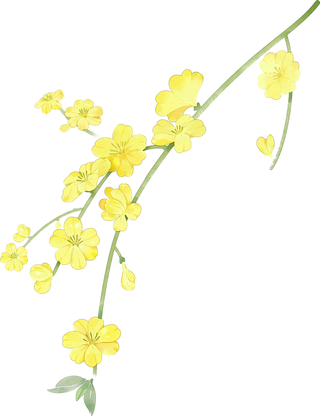 绿色黄色植物插画水墨节气立春彩色水彩花朵...