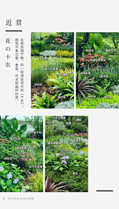 一只几蛋采集到花镜
