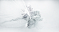 Everydays | January'16 : first batch of '16 daily renders-