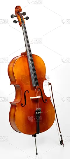 大提琴,音乐,剪贴路径,管弦乐队,戏剧表演,背景分离,垂直画幅,全景,图像,无人