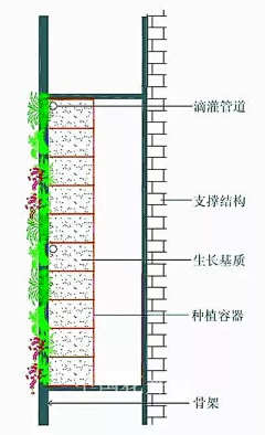 悠舞空灵采集到植物墙