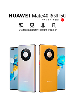 他的傻子样采集到P