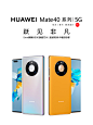 华为 Mate40 Pro 5G手机 亮黑色 全网通(8G+256G)碎屏险无线充套装【图片 价格 品牌 报价】-京东
