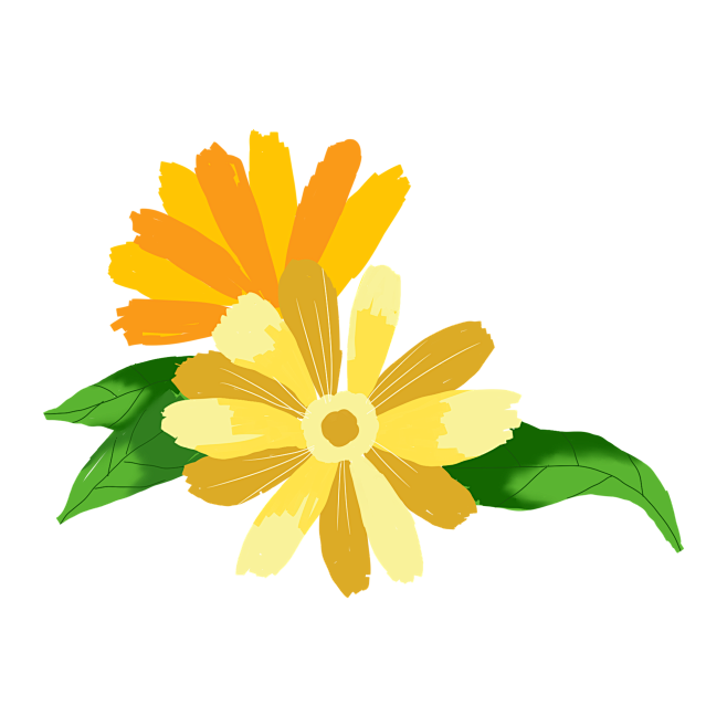 小雏菊