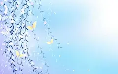 壁纸_百度图片搜索