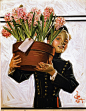 1914 "Bellhop with Hyacinths" The Saturday Evening Post