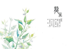 BNmeF_LT采集到植物