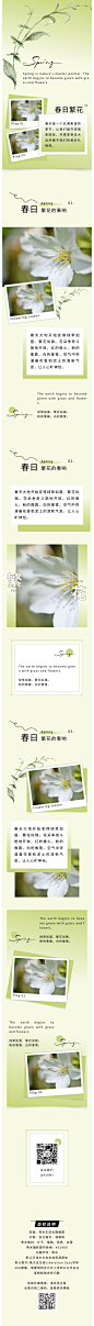 春日繁花 | 旅游漫步景点植物科普 | 相册文艺简约杂志
