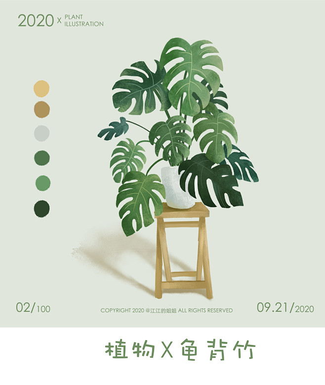 原创插画|江江的姐姐|植物插画#龟背竹
