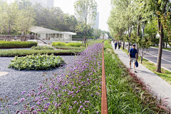 严老师（植栽设计）采集到雨水花园