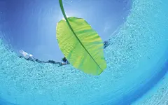 夏日风光海滩高清壁纸桌面壁纸1