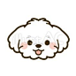 This contains an image of: 犬の顔　マルチーズイラスト