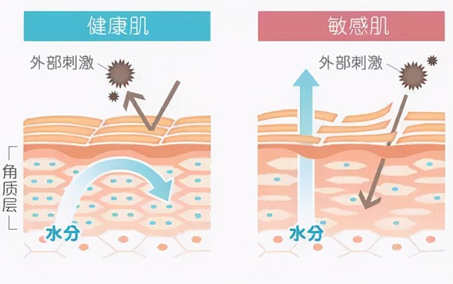 神经酰胺 位置：表皮层中的角质层，角质间隙的细胞间脂质里 物理性屏障主要定位于角质层, 其对控制表皮内外物质的渗透有重要作用, 因此又称为 ...