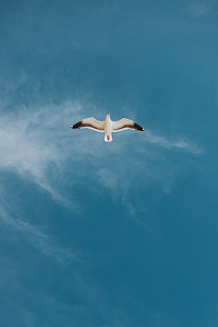 DKS小登采集到天空