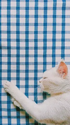 采集图片
