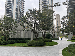 靓馨宝贝采集到D—大区 + 现代