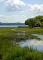 Beaufort South Carolina Low Country Red Kayak | 相片擁有者 Cindy - Vintage To New