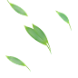 中国风卡通手绘绿色竹子水墨竹叶竹节