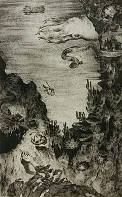 来自分享