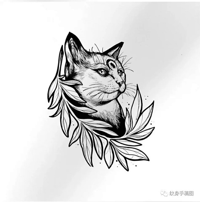 猫头纹身图案手稿图片