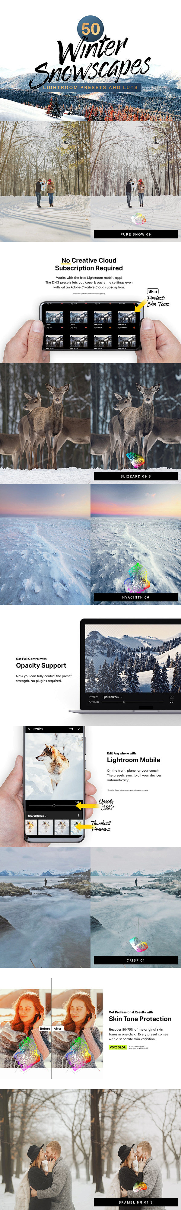 50个冬季Snowscape Light...