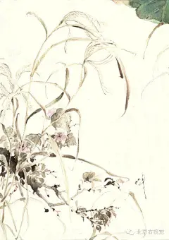 沈扬，当代插画家，艺名“呀呀”。
画风细腻，具有国画功底，使她的画古韵十足，洋溢着水墨风情，在表现慵懒的女人之时展现了自己独特的风格。
2006年7月大学毕业设计作品《界灵》经江南大学学术委员会评审通过为院藏作品奖；
2008年作品《相见欢》获金龙奖最佳插画金奖。
