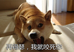付豆呗采集到表情