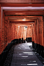 京都, 伏见稻荷大社, 地標 的 免费素材图片