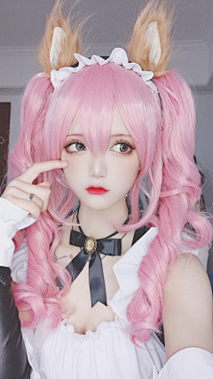 淡性采集到食肉系