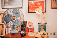 花儿炸鸡采集到年代秀