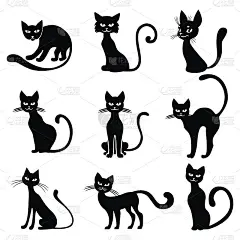 轮廓猫组