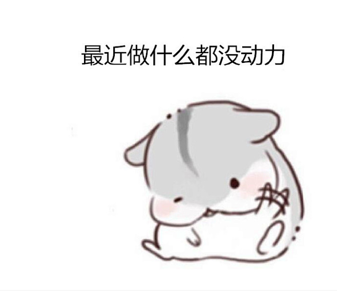 我大概是只废鼠了.#表情##搞笑