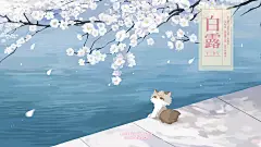 白露