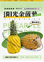 菠萝海报 (4)